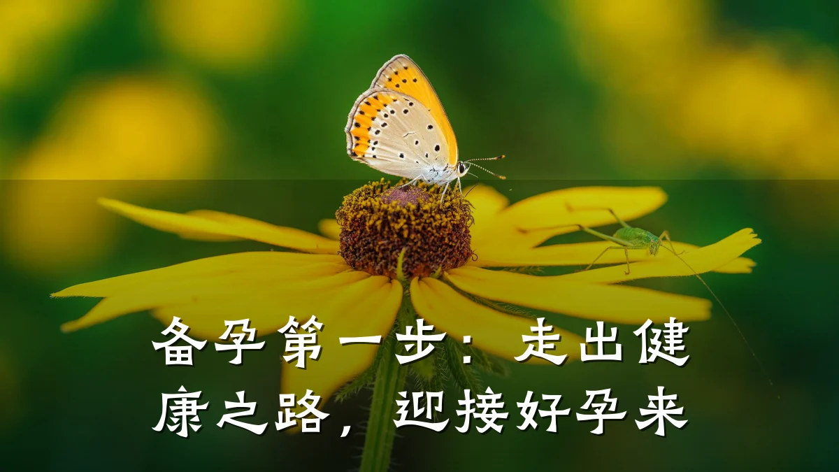 备孕第一步:走出健康之路,迎接好孕来