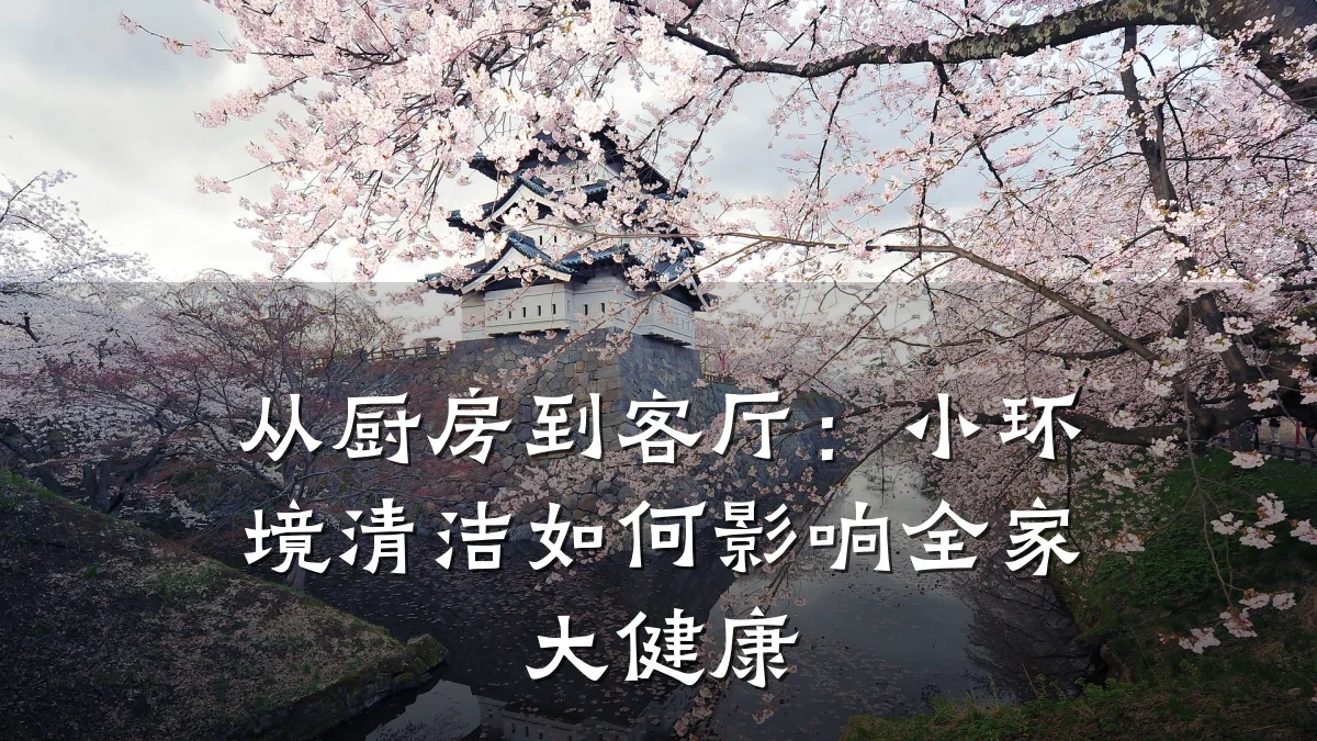 从厨房到客厅:小环境清洁如何影响全家大健康