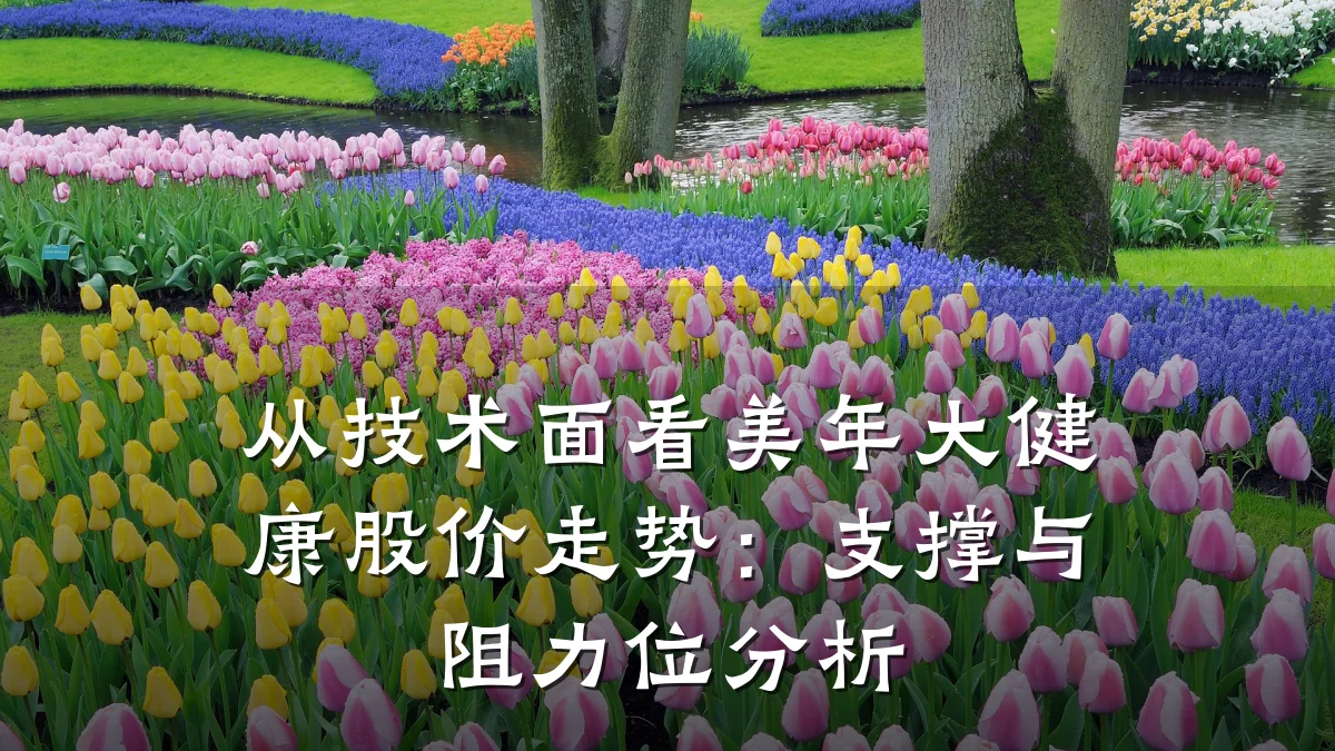 从技术面看美年大健康股价走势:支撑与阻力位分析