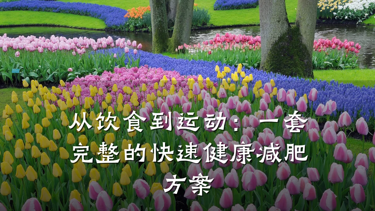 从饮食到运动:一套完整的快速健康减肥方案