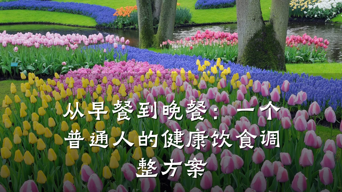 从早餐到晚餐:一个普通人的健康饮食调整方案