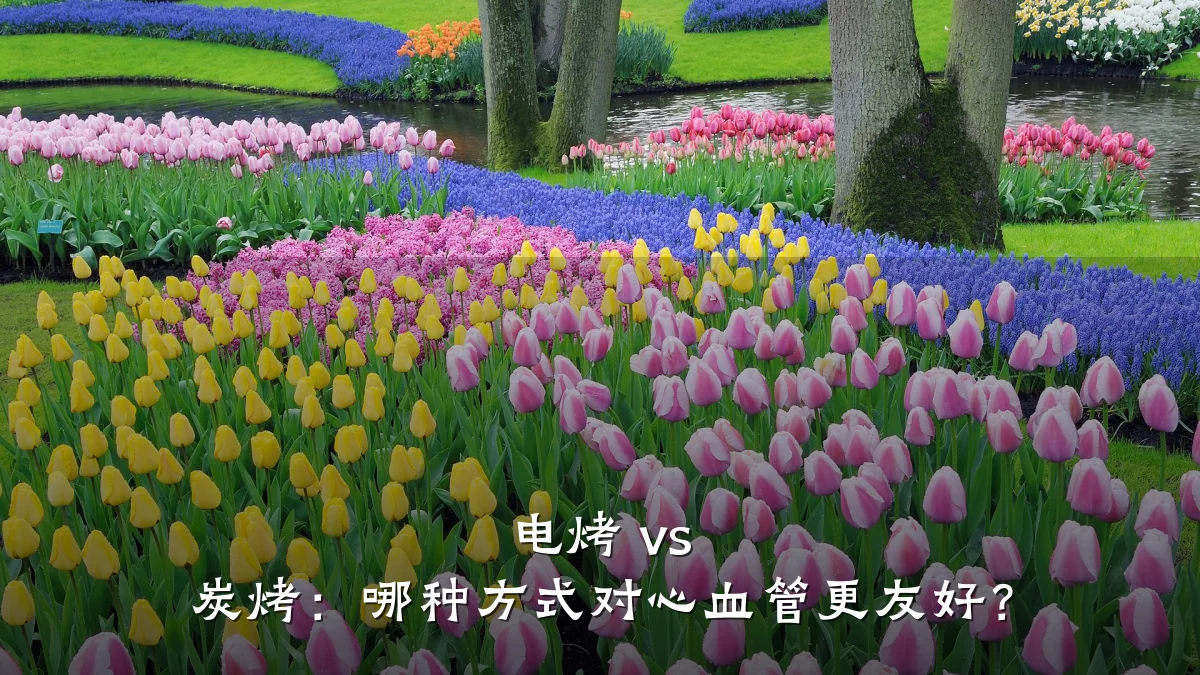 电烤 vs 炭烤:哪种方式对心血管更友好?