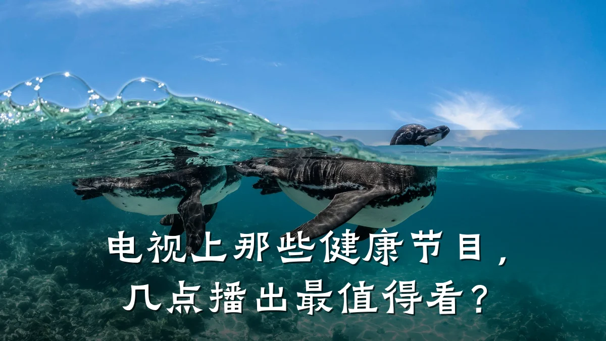 电视上那些健康节目,几点播出最值得看?