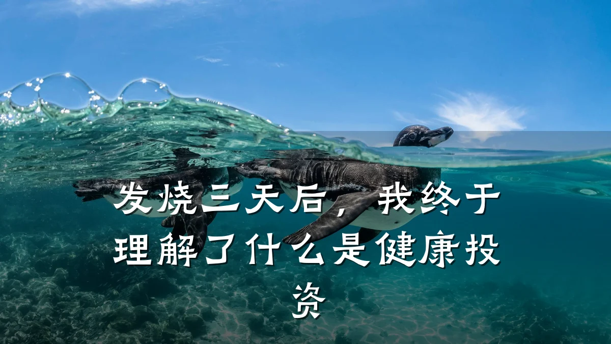 发烧三天后,我终于理解了什么是健康投资