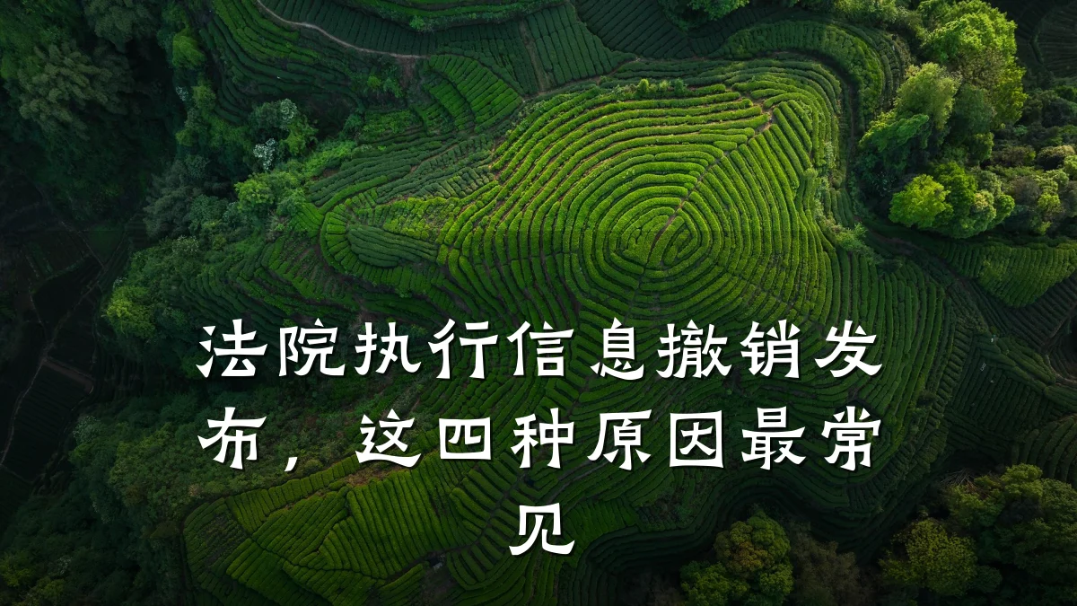 法院执行信息撤销发布,这四种原因最常见