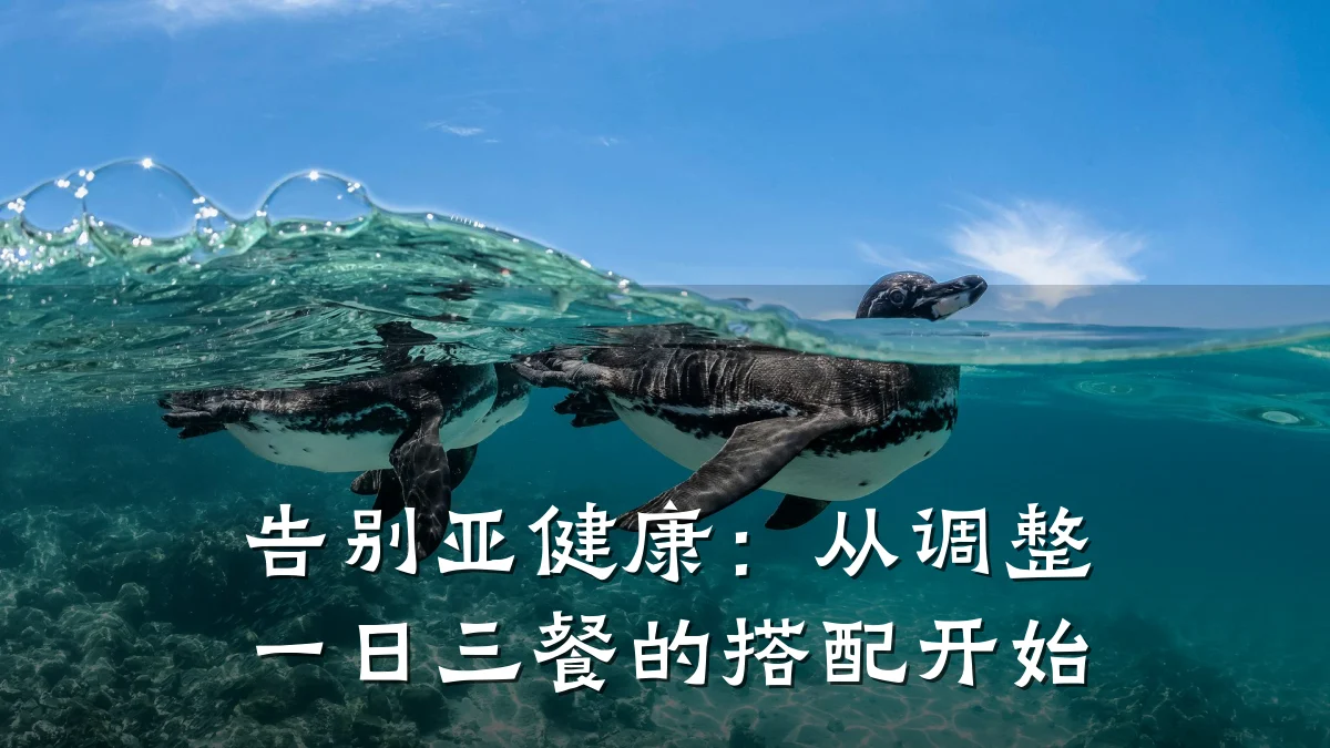 告别亚健康:从调整一日三餐的搭配开始