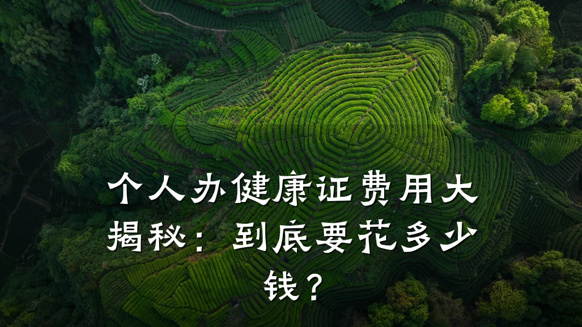 个人办健康证费用大揭秘:到底要花多少钱?