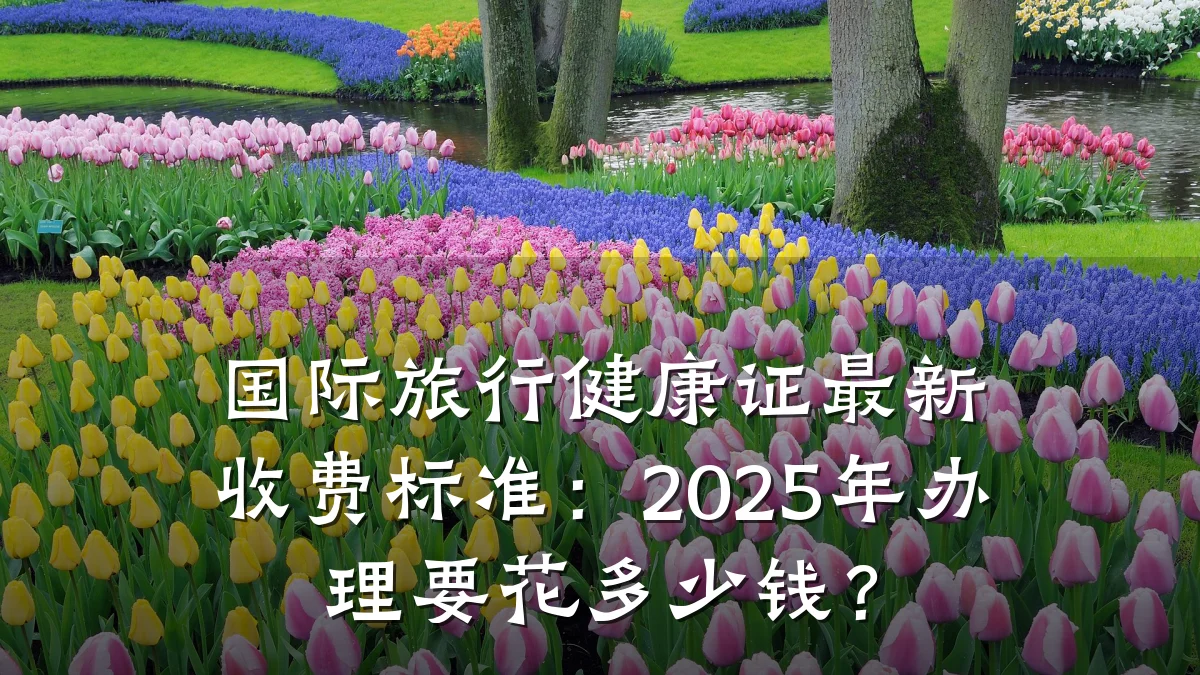 国际旅行健康证最新收费标准:2025年办理要花多少钱?