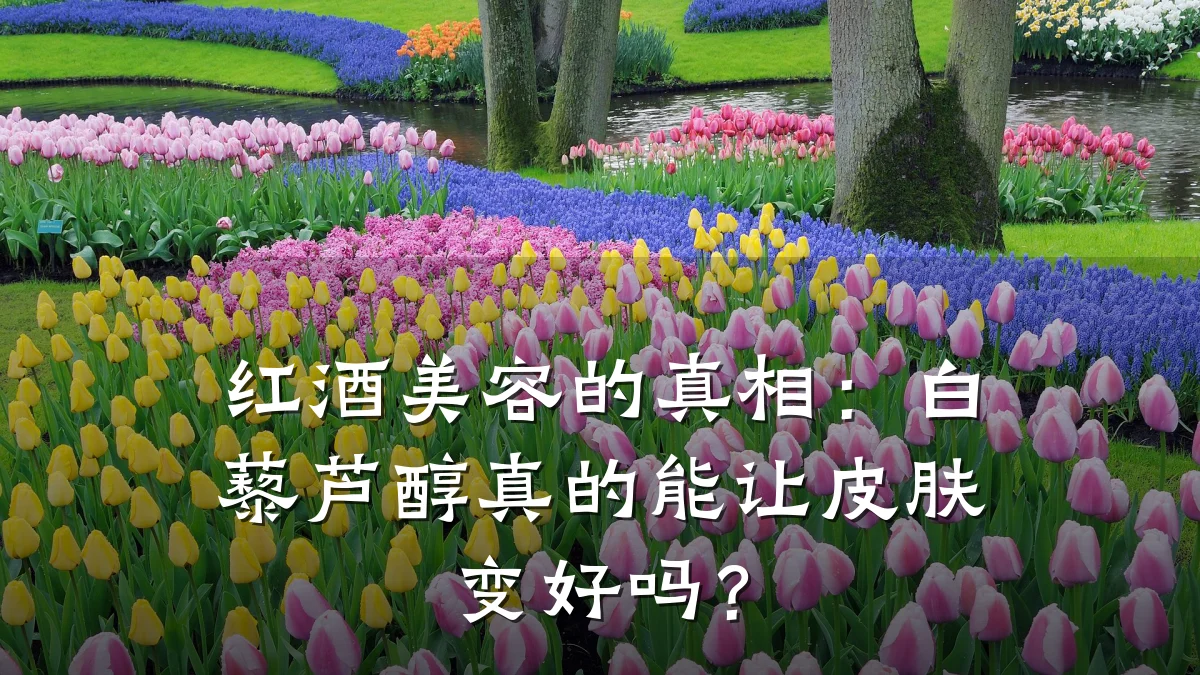 红酒美容的真相:白藜芦醇真的能让皮肤变好吗?