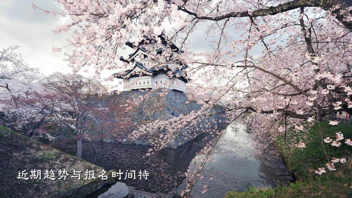 近期趋势与报名时间特