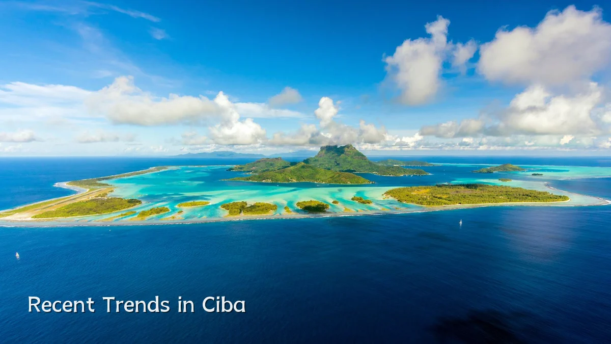 Recent Trends in Ciba