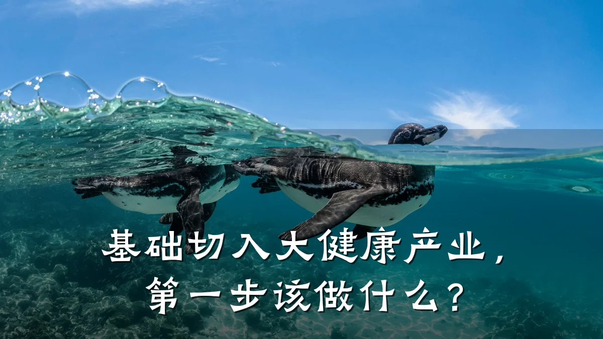 基础切入大健康产业,第一步该做什么?