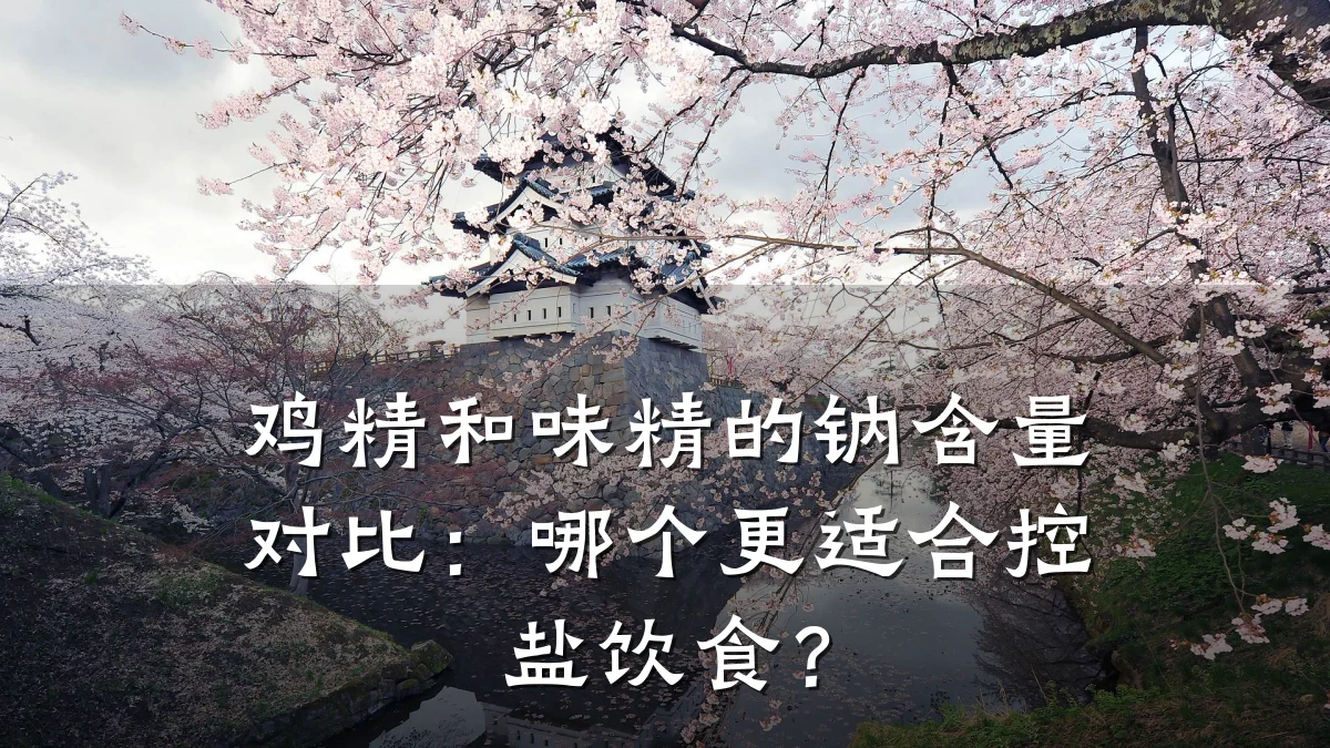 鸡精和味精的钠含量对比:哪个更适合控盐饮食?