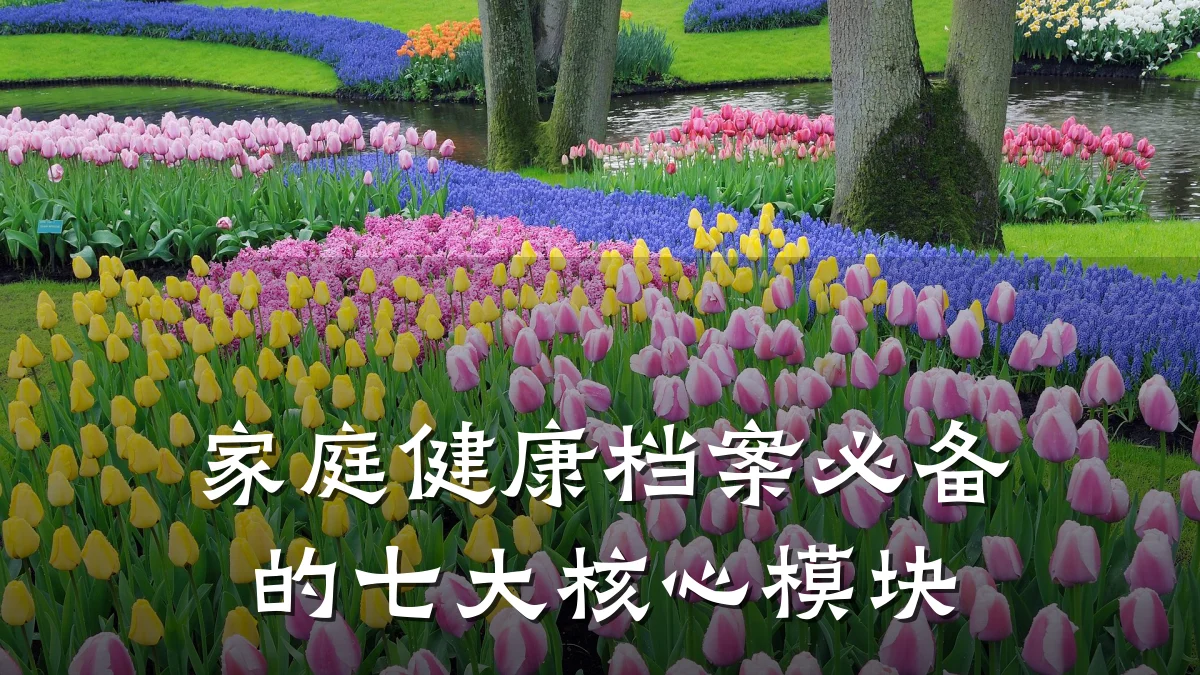 家庭健康档案必备的七大核心模块