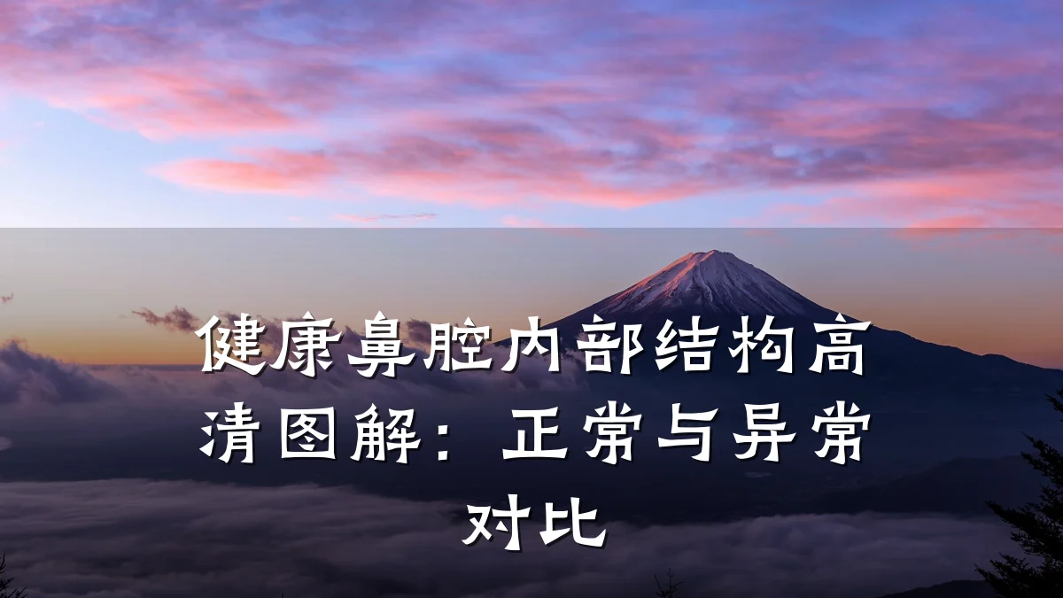 健康鼻腔内部结构高清图解:正常与异常对比