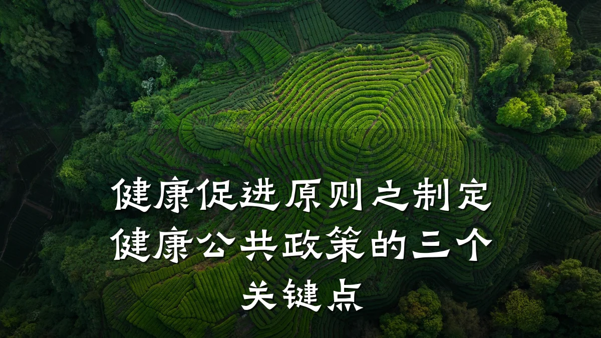 健康促进原则之制定健康公共政策的三个关键点