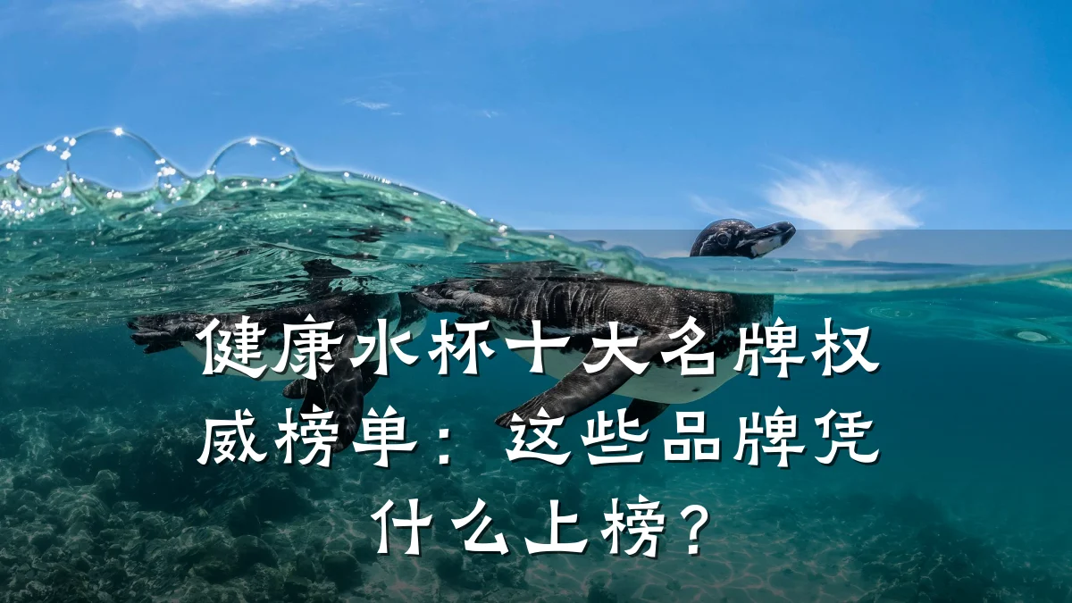 健康水杯十大名牌权威榜单:这些品牌凭什么上榜?