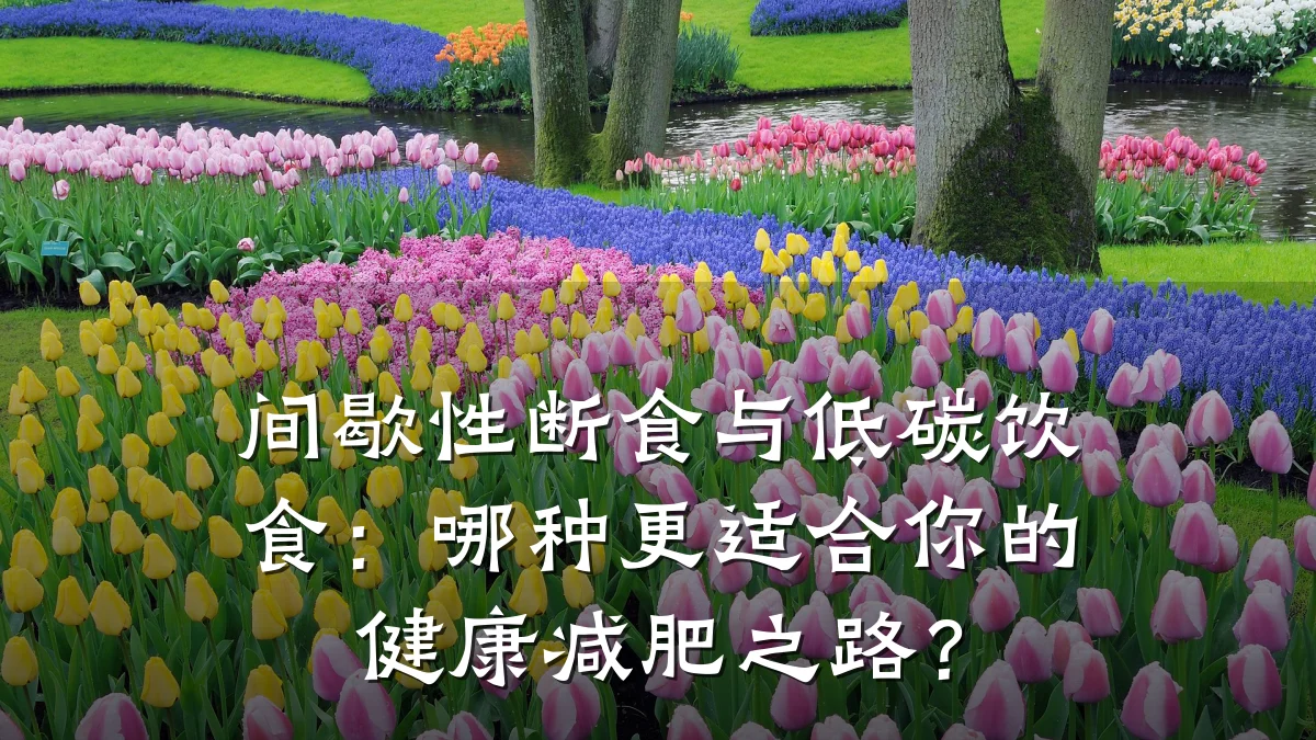 间歇性断食与低碳饮食:哪种更适合你的健康减肥之路?