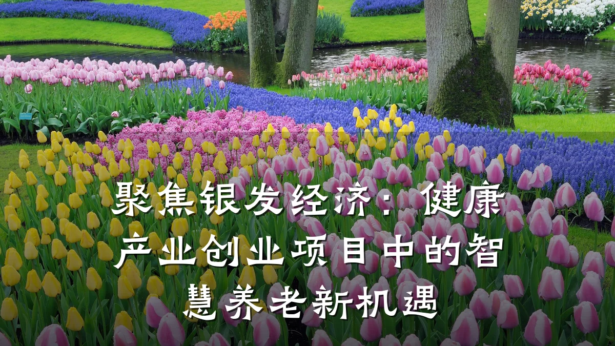 聚焦银发经济:健康产业创业项目中的智慧养老新机遇