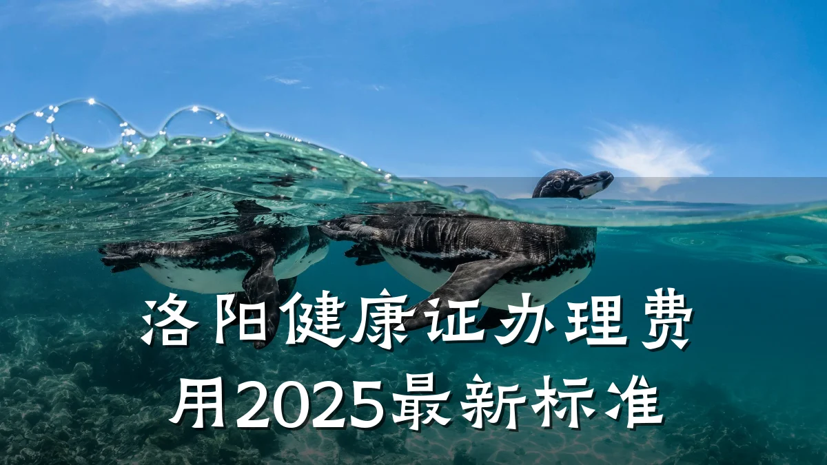 洛阳健康证办理费用2025最新标准