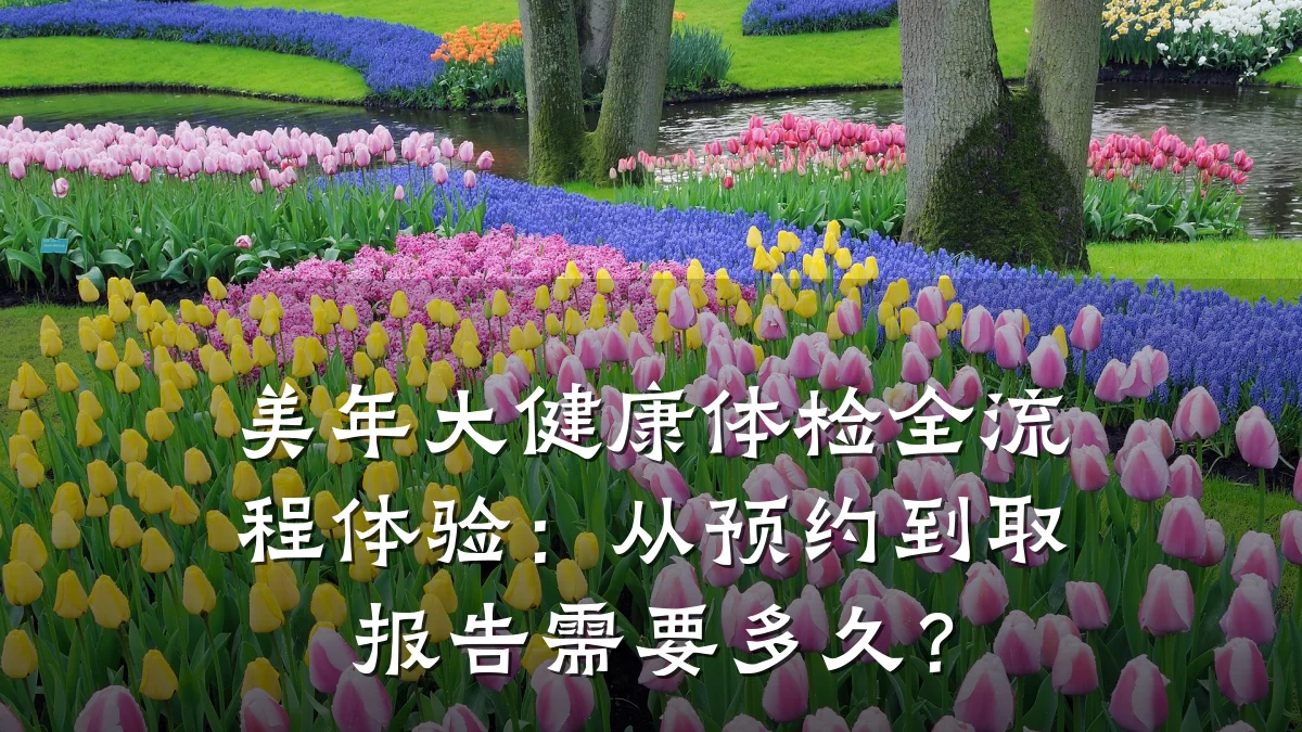 美年大健康体检全流程体验:从预约到取报告需要多久?