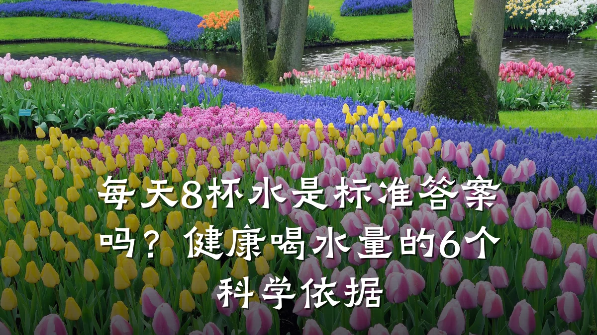 每天8杯水是标准答案吗?健康喝水量的6个科学依据