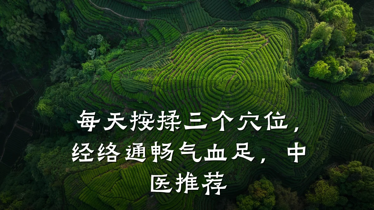 每天按揉三个穴位,经络通畅气血足,中医推荐