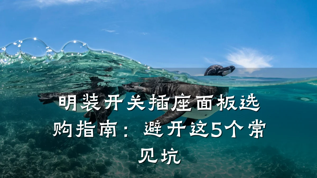 明装开关插座面板选购指南：避开这5个常见坑