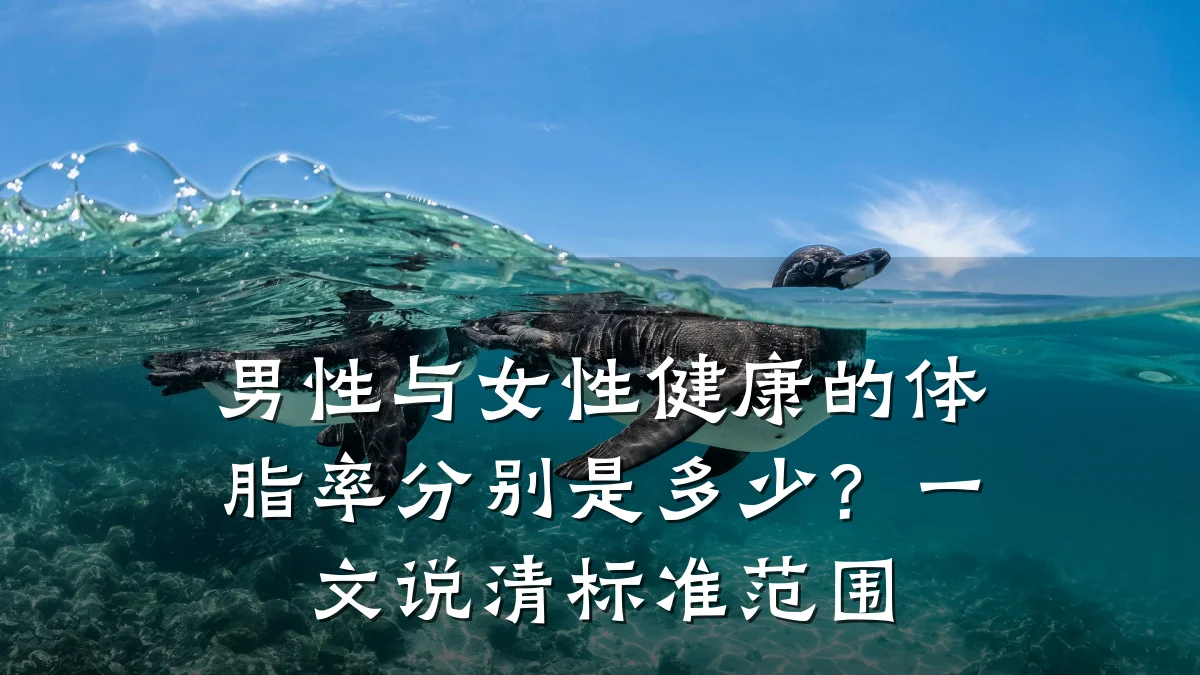 男性与女性健康的体脂率分别是多少?一文说清标准范围