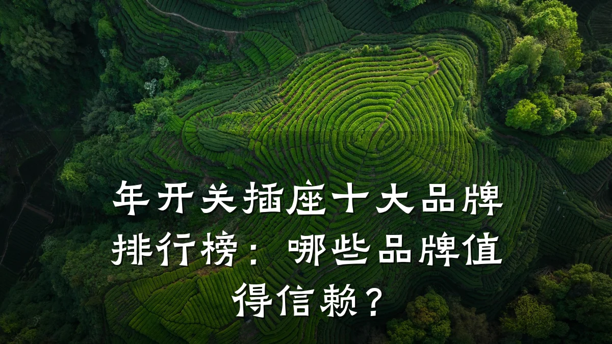 年开关插座十大品牌排行榜：哪些品牌值得信赖？