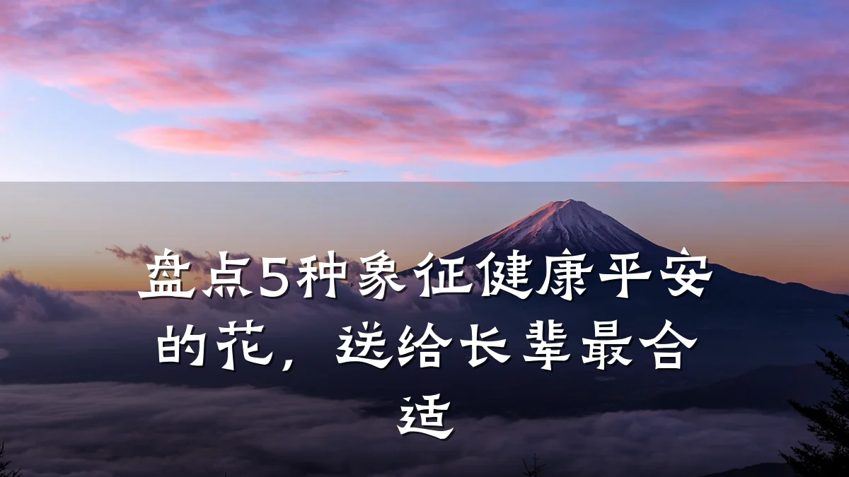 盘点5种象征健康平安的花,送给长辈最合适