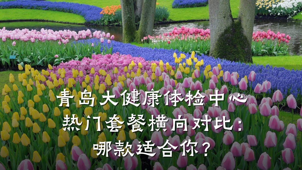 青岛大健康体检中心热门套餐横向对比:哪款适合你?