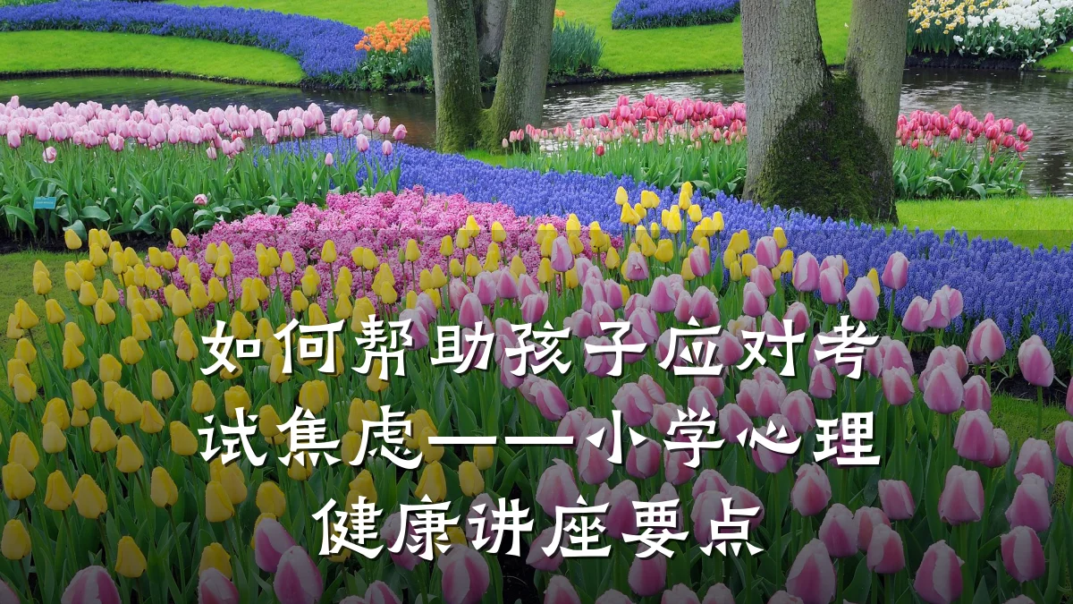 如何帮助孩子应对考试焦虑——小学心理健康讲座要点