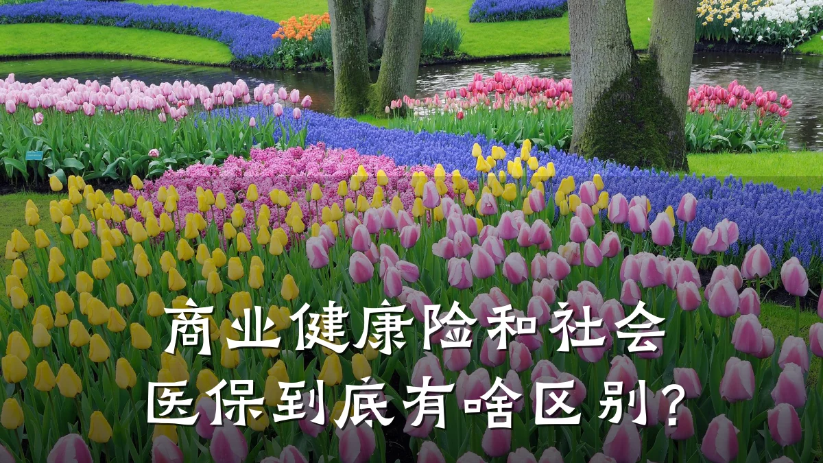 商业健康险和社会医保到底有啥区别?