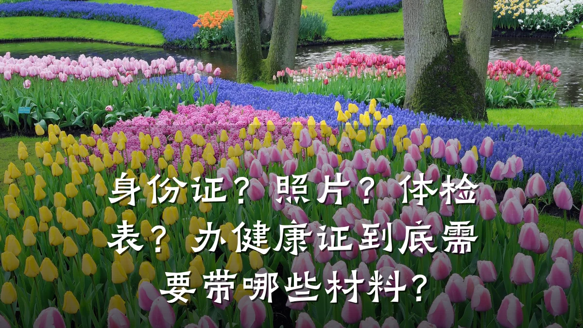 身份证?照片?体检表?办健康证到底需要带哪些材料?