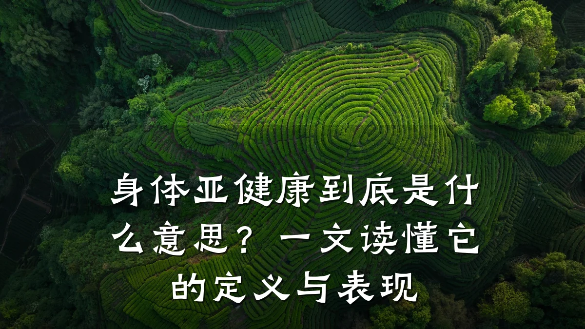 身体亚健康到底是什么意思?一文读懂它的定义与表现