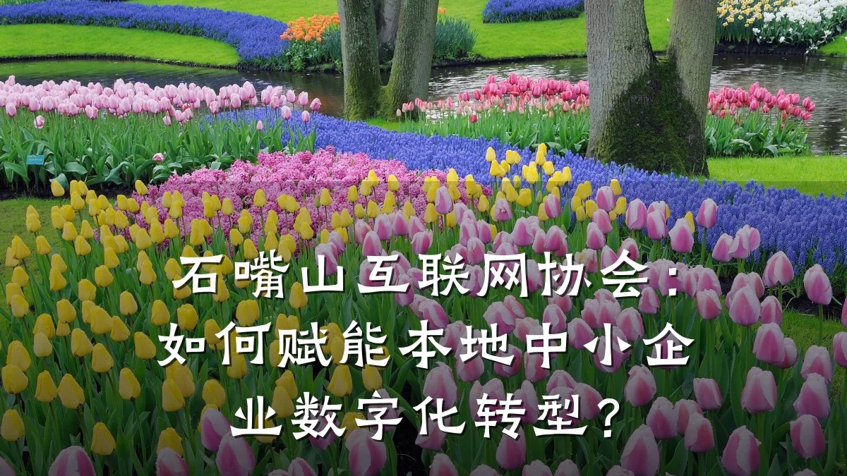 石嘴山互联网协会:如何赋能本地中小企业数字化转型?