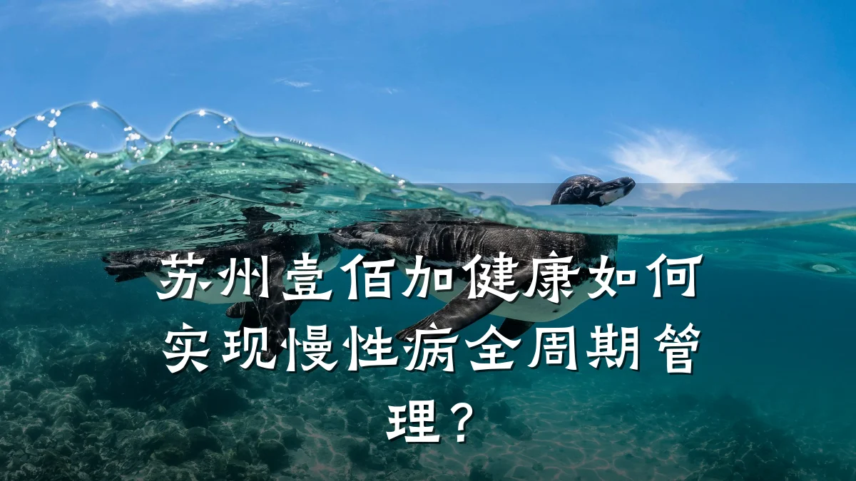 苏州壹佰加健康如何实现慢性病全周期管理?