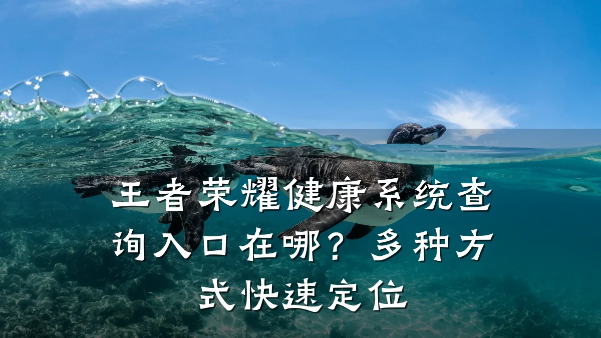 王者荣耀健康系统查询入口在哪？多种方式快速定位
