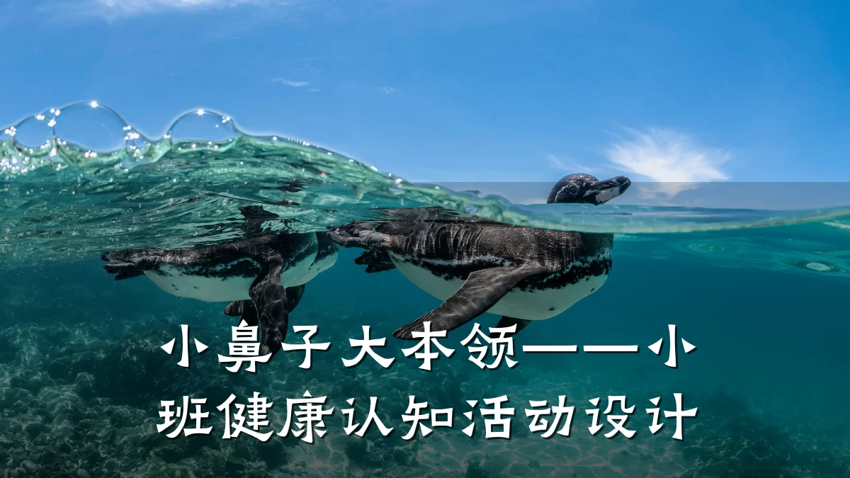 小鼻子大本领——小班健康认知活动设计