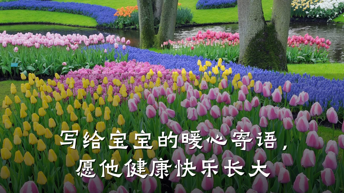 写给宝宝的暖心寄语,愿他健康快乐长大