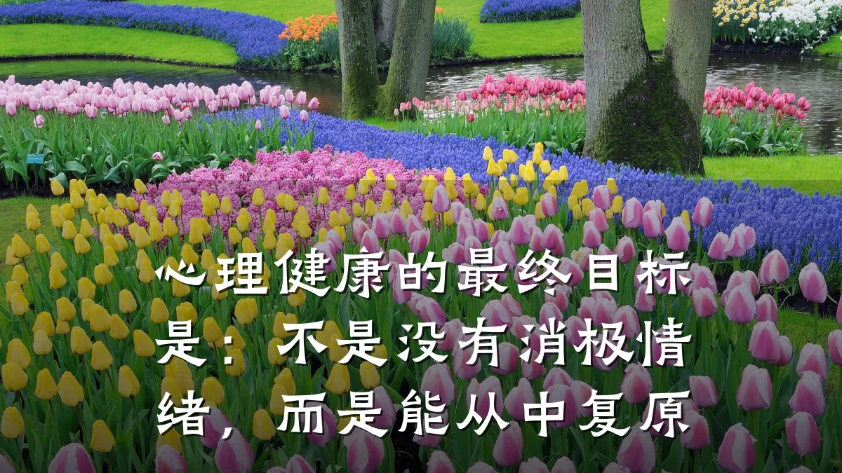 心理健康的最终目标是:不是没有消极情绪,而是能从中复原