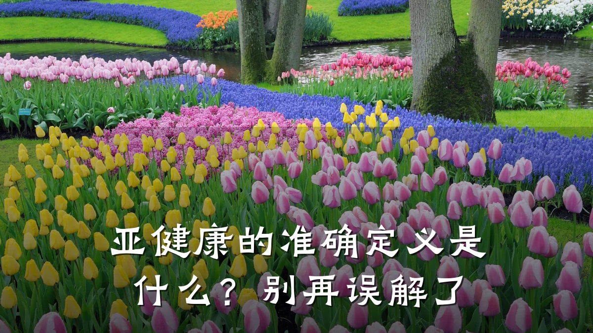 亚健康的准确定义是什么?别再误解了