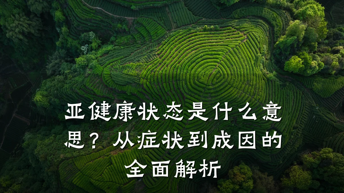 亚健康状态是什么意思?从症状到成因的全面解析