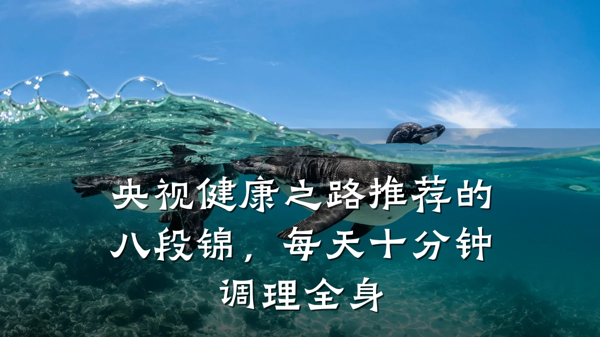 央视健康之路推荐的八段锦,每天十分钟调理全身