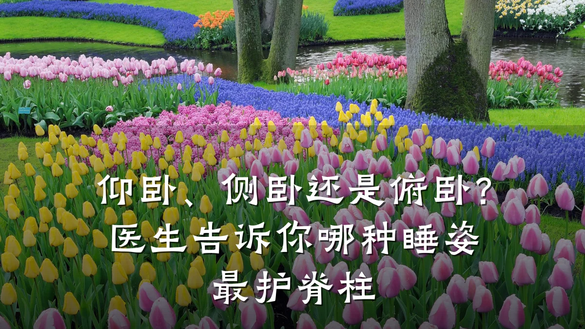 仰卧、侧卧还是俯卧?医生告诉你哪种睡姿最护脊柱