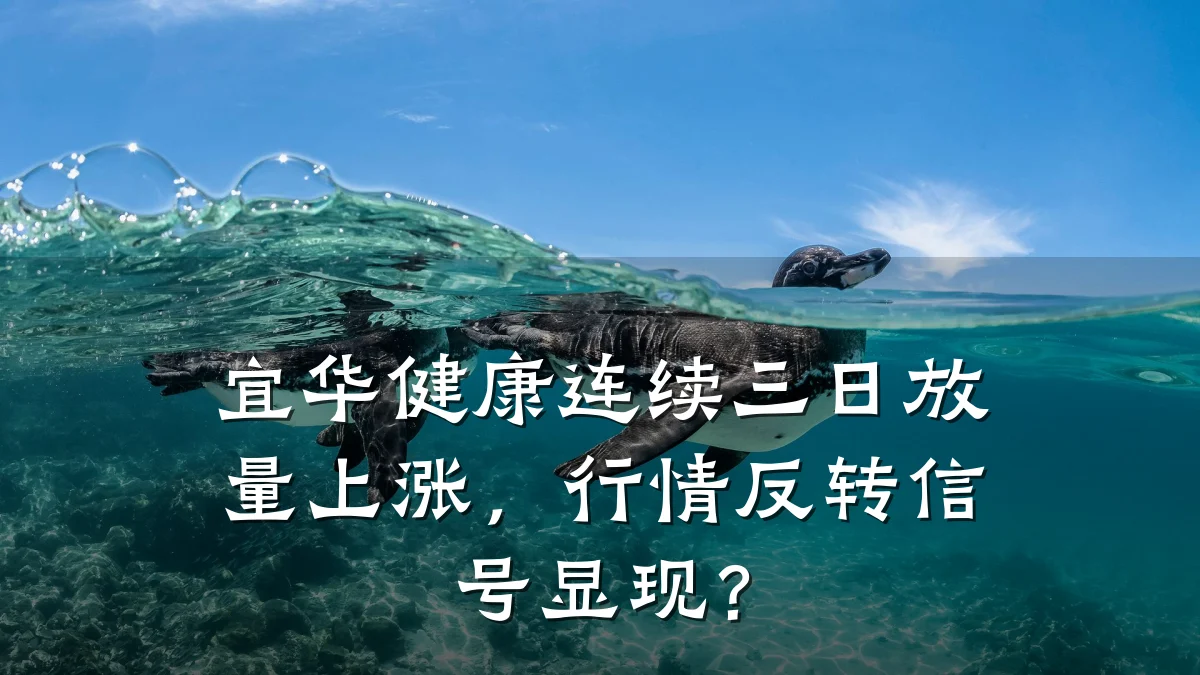宜华健康连续三日放量上涨,行情反转信号显现?