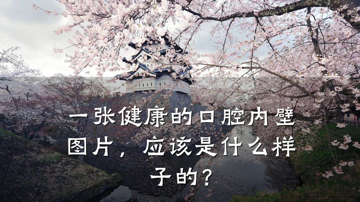 一张健康的口腔内壁图片,应该是什么样子的?