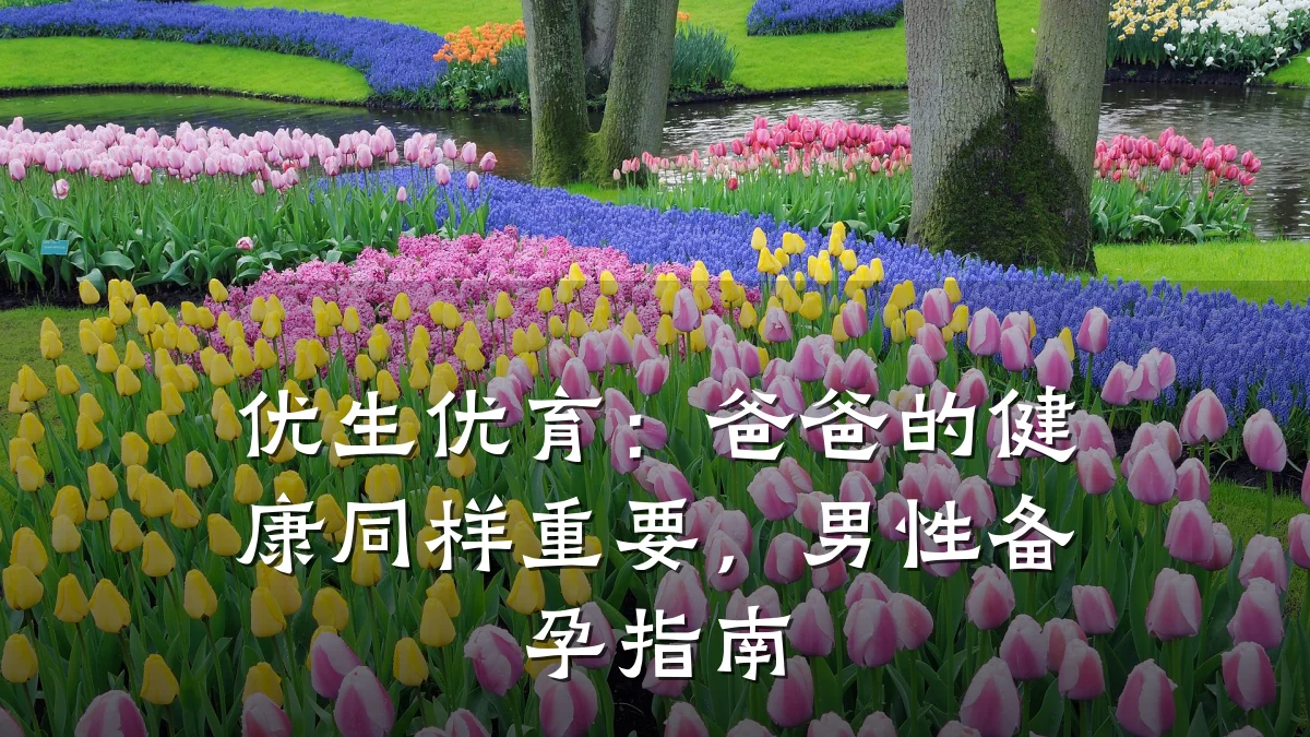 优生优育:爸爸的健康同样重要,男性备孕指南