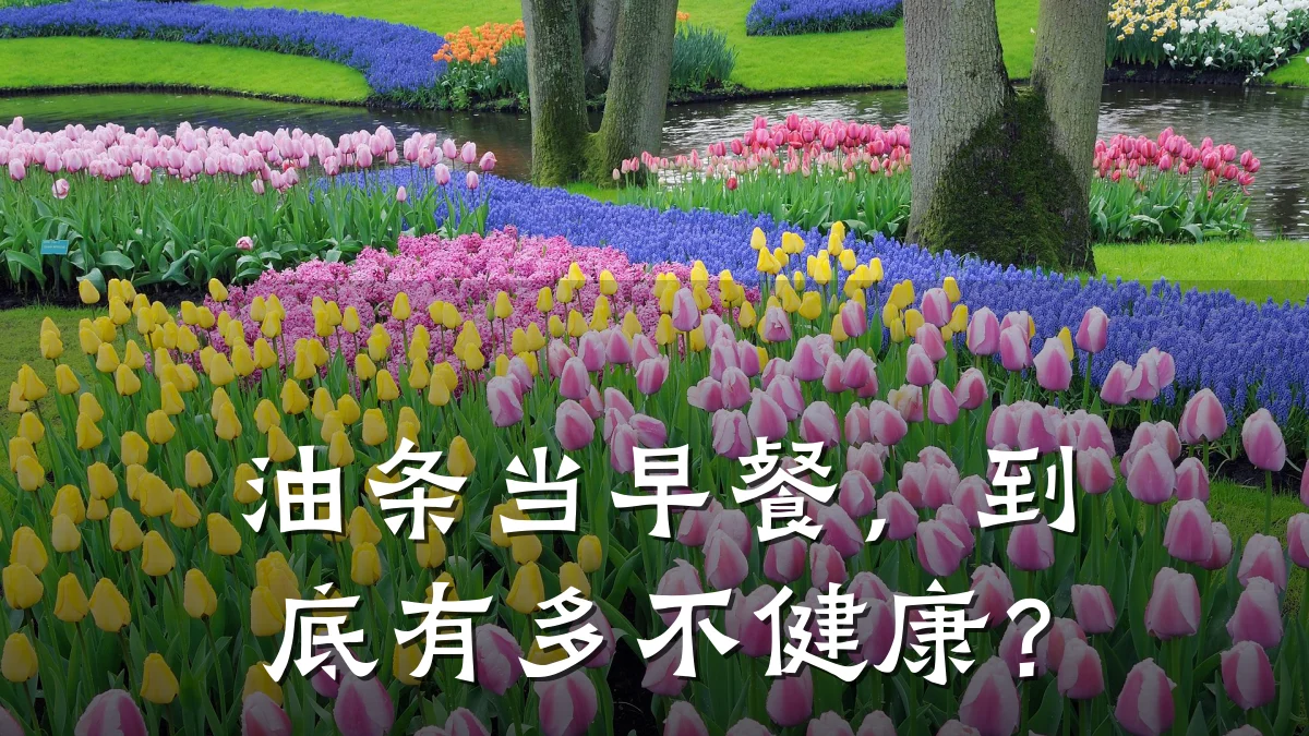 油条当早餐,到底有多不健康?
